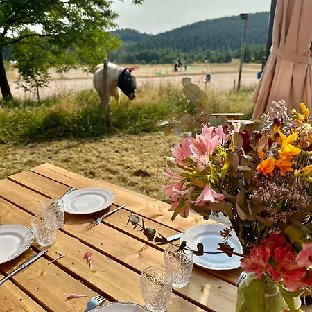 Farm stay Tiny House Et Chevaux Le Breuil (Allier)