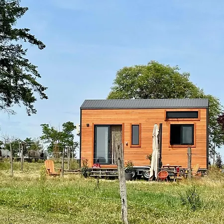 Tiny House Et Chevaux *