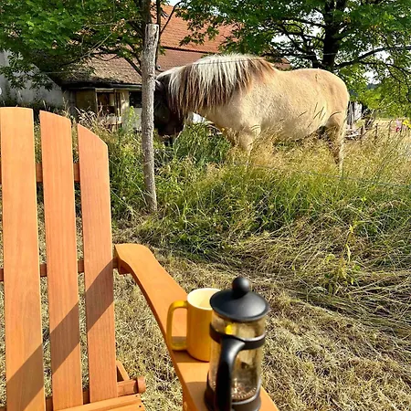 Tiny House Et Chevaux Farm stay *